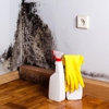 Discount Water and Mold Removal gallery