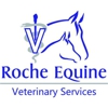 Roche Equine Veterinary Svc PA - Melinda Roche DVM gallery