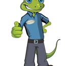 Gecko Green Lawn Care & Pest Control - Weed Control Service