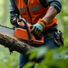 Safe Tree Service Pros gallery