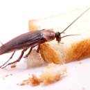 Termite Lawn And Pest, Inc - Pest Control Services