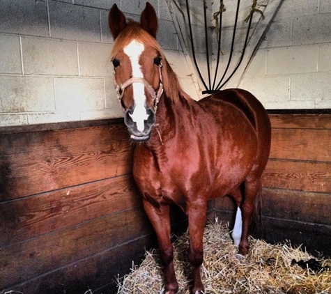 Watchung Stables - Mountainside, NJ