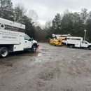 Jason Pilla Tree Specialist - Arborists