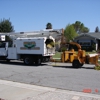 Nor-Cal Tree & Stump Service gallery