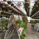 Bultema's Farmstand & Greenhouse