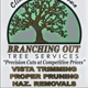 Branching Out Tree Care Experts