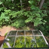 Aqua Cleaning gallery