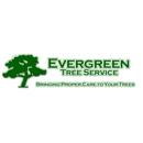 Evergreen Tree Service - Christmas Trees
