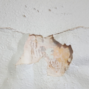 SD Mold Inspection - San Diego, CA