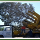 Affordable Tree Service