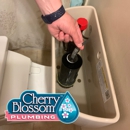 Cherry Blossom Plumbing - Water Heater Repair