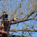 Smart Tree Service - Tree Service