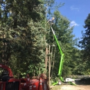 Shiver Tree Service - Tree Service