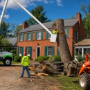 Greentree - Tree Service