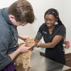 Arlington Animal Clinic gallery