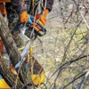 Aguila Tree Service Inc gallery