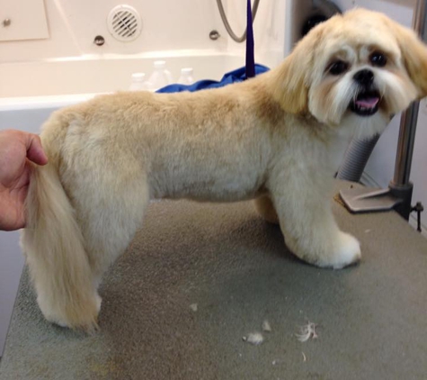 Lucky Dog Grooming - Plano, TX