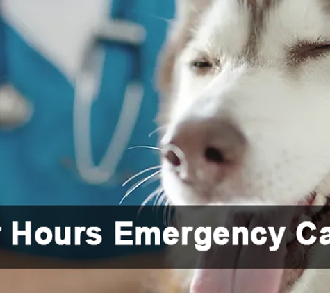 Mylonas & O'Callaghan Vet Hospital - Blacktown, NSW. After Hours Emergency Care