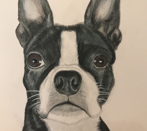 Pet Portraits by Rebecca - Hudson, FL