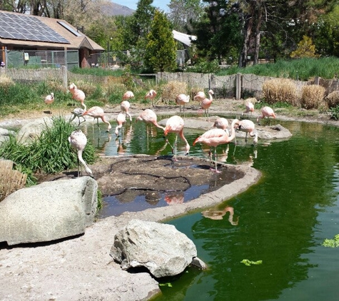 Tracy Aviary - Salt Lake City, UT