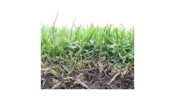 McMahon's Lawn Turf & Maintenance - Googong, NSW