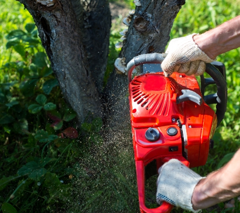 Orange County Gardening