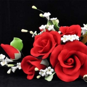 Gallery Image Number 2