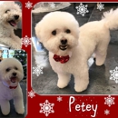 PAWS in for STYLE Dog Grooming - Pet Grooming