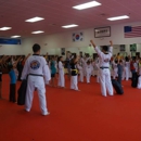 Tiger World Class Tae Kwon Do & Family Martial Arts - Martial Arts Instruction