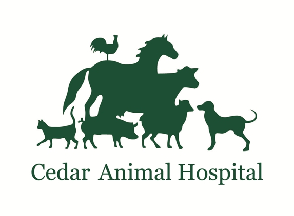 Cedar Animal Hospital - Richmond Hill, GA