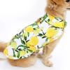 The Modern Dog Of NJ gallery