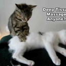 The Massage Place - Massage Therapists