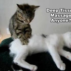 The Massage Place