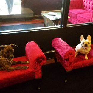 Executive Dog Lounge - Jersey City, NJ