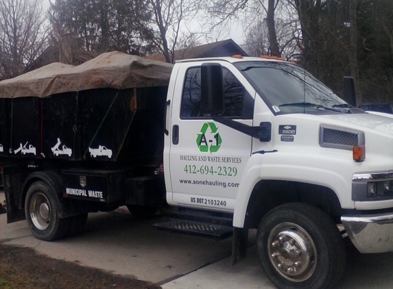 A1 Hauling and Waste Services - Canonsburg, PA