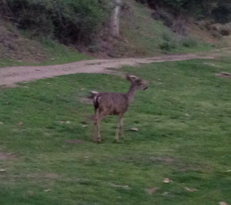 Deep Cliff Golf Course - Cupertino, CA