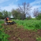 Weed abatement tractor work Dave Berry