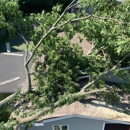 Spruce It Up Tree Care