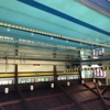 Midwest Aquatic Club gallery