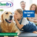 Executive Chem-Dry - Carpet & Rug Cleaners