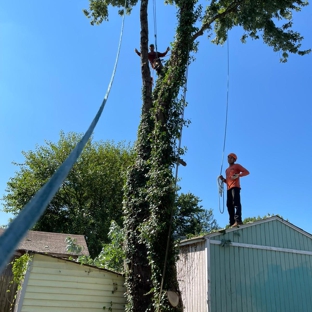 Contreras Tree Cut - Glen Burnie, MD