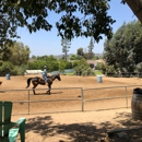 Riding Academy of Oc - Riding Academies