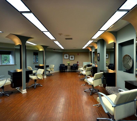 Bukés Salon & Spa - Clarendon Hills, IL. Bukés Hair Department