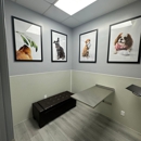 Encino Pet Hospital and Emergency - Pet Services