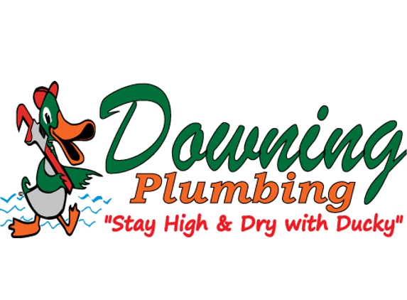 Downing Plumbing - Merrillville, IN