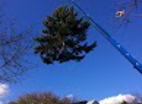 Princeton Tree Services, Inc - Princeton, MA