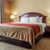 Quality Inn Near Walden Galleria Mall gallery