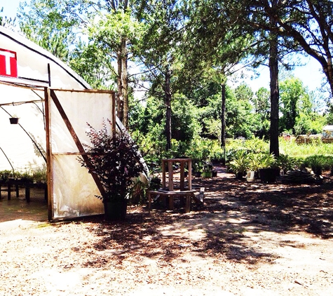 Pinelands Nursery Company - Milton, FL