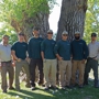 American Arborists