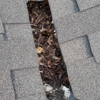 Treasure Valley Gutter Cleaning gallery